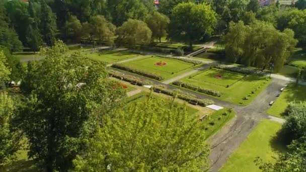 Sienkiewicz Park Wloclawek Gardens Ogrody Aerial View Poland Кадри Високої — стокове відео