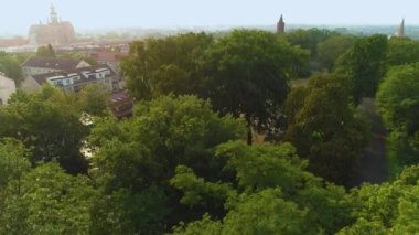 Trees Park Stargard Drzewa Hava Görüntüsü Polonya. Yüksek kalite 4k görüntü
