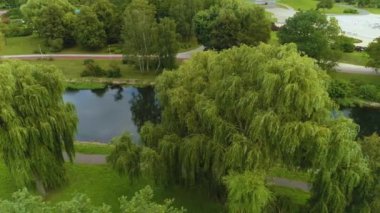 Pila Park Na Wyspie Brda Nehri Havadan Görünümü Polonya. Yüksek kalite 4k görüntü