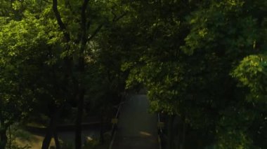 Trees Park Su Kulesi Stargard Wieza Cisnien Aleja Slowicza Hava Görüntüsü Polonya. Yüksek kalite 4k görüntü