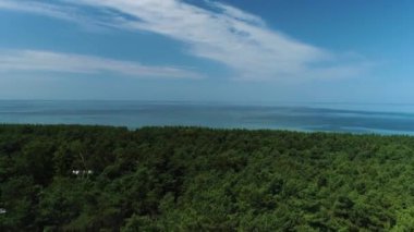Baltık Denizi Ormanı Krynica Morska Baltyckie Hava Manzaralı Polonya. Yüksek kalite 4k görüntü