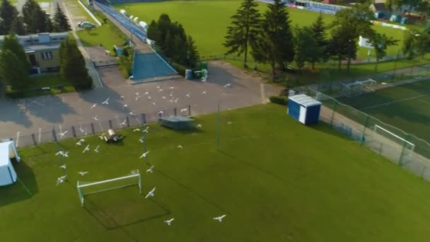 Birds Stadium Stargard Ptaki Stadion Veduta Aerea Polonia Filmati Alta — Video Stock
