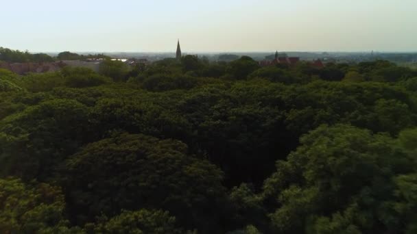 Beautiful Landscape Park Trzeciego Maja Stargard Aerial View Polsko Vysoce — Stock video