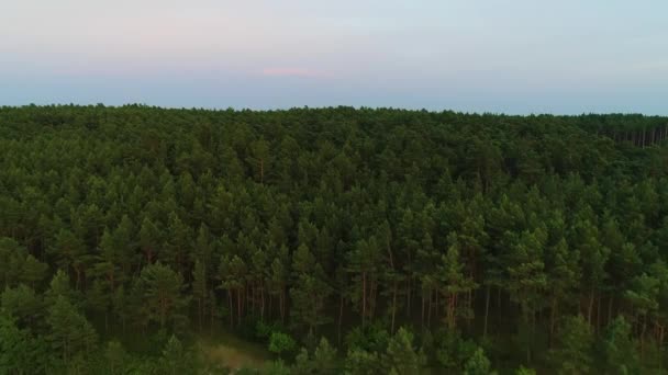 Prachtige Landschap Centrum Katy Rybackie Piekny Krajobraz Luchtfoto View Polen — Stockvideo