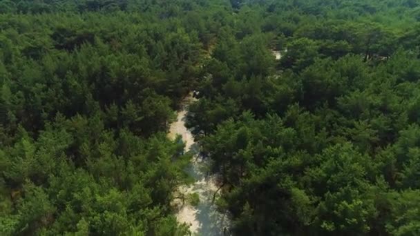 Forest Beach Juratalas Plaza Aerial View Poland Высококачественные Кадры — стоковое видео