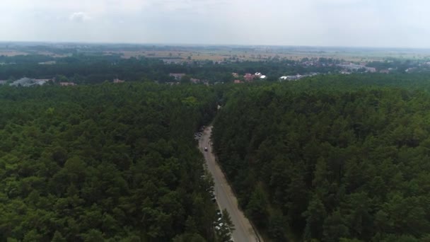 Krásný Les Jantar Piekny Las Aerial View Polsko Vysoce Kvalitní — Stock video