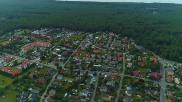 美しい風景の森バルト海Stegna Piekny Krajobraz空中ビューポーランド 高品質4K映像 — ストック動画