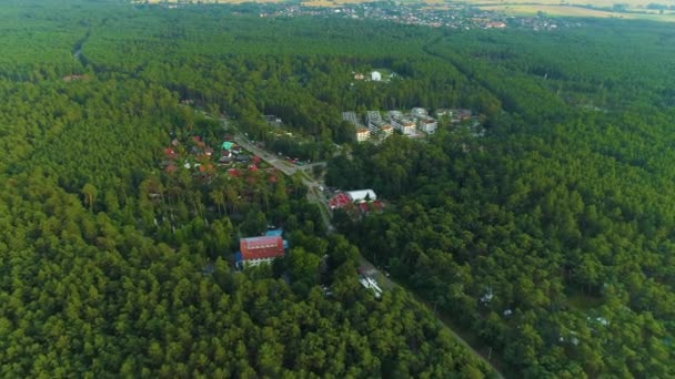 Прекрасний Ландшафтний Ліс Stegna Las Krajobraz Aerial View Poland Кадри — стокове відео