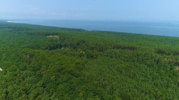 Bela Paisagem Floresta Mar Báltico Jantar Morze Las Aerial View — Vídeo de Stock