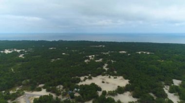 Güzel Panorama Ormanı Krajobraz Las Aerial View Polonya. Yüksek kalite 4k görüntü