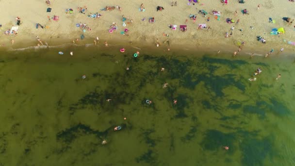 バルト海ビーチStegnaプラザ Morze Baltyckie空撮ポーランド 高品質4K映像 — ストック動画