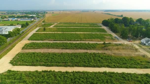 Schöne Landschaft Puck Piekny Krajobraz Luftaufnahme Polen Hochwertiges Filmmaterial — Stockvideo