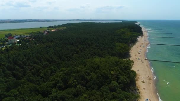 Krajinný Les Wicie Krajobraz Las Aerial View Polsko Vysoce Kvalitní — Stock video