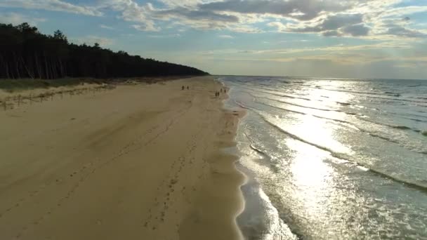 Plaża Morze Bałtyckie Rogowo Plaza Morze Baltyckie Widok Powietrza Polska — Wideo stockowe