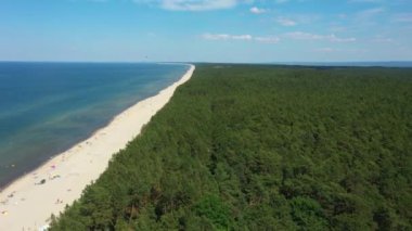 Panorama Ormanı Baltık Denizi Sztutowo Morze Las Aerial View Polonya. Yüksek kalite 4k görüntü