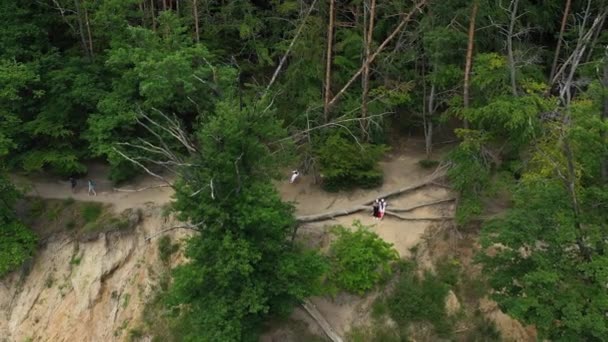 Cliff Swing Gdynia Orłowo Hustawka Klif Aerial View Poland Wysokiej — Wideo stockowe