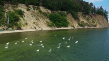 Kuğular Plajı Gdynia Orlowo Plaza Labedzie Havacılık Polonya. Yüksek kalite 4k görüntü