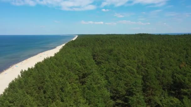 Forêt Panorama Mer Baltique Sztutowo Morze Las Aerial View Pologne. Images 4k de haute qualité