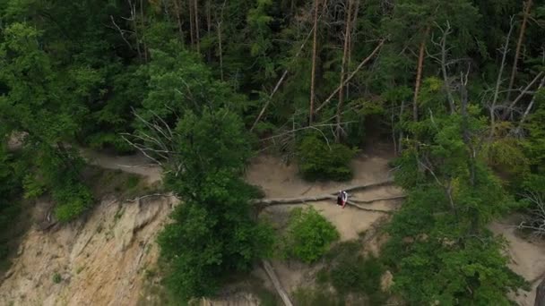 Piękny Cliff Gdynia Orłowo Piekny Klif Aerial View Poland Wysokiej — Wideo stockowe