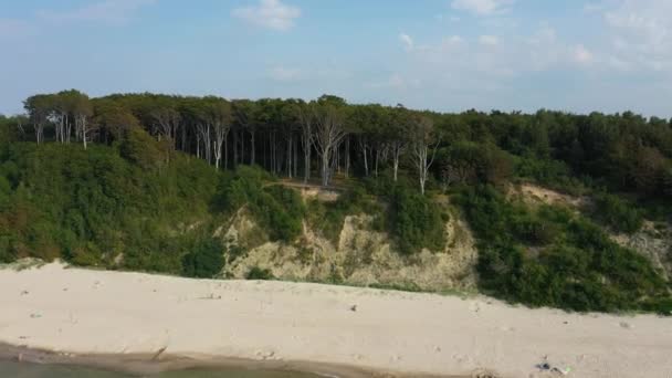 Baltic Sea Beach Debina Plaza Morze Baltyckie Luftaufnahme Polen Hochwertiges — Stockvideo