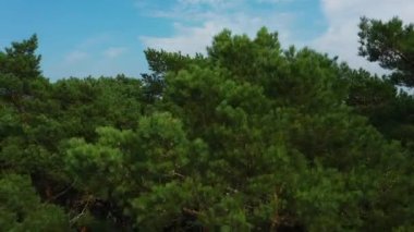 Leba Centrum şehir merkezi hava manzaralı Polonya. Yüksek kalite 4k görüntü