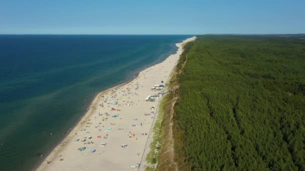 Strand Bos Baltische Zee Bialogora Plaza Las Morze Luchtfoto View — Stockvideo