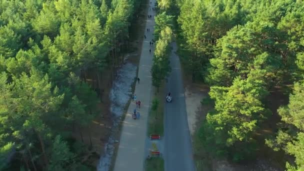 Прогулка Лесу Bialogora Deptak Las Aerial View Польша Высококачественные Кадры — стоковое видео