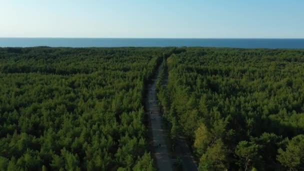 Promenade Door Het Bos Bialogora Deptak Las Aerial View Polen — Stockvideo