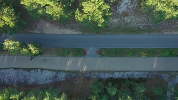 Promenade Melalui Hutan Bialogora Deptak Las Aerial View Polandia Rekaman — Stok Video