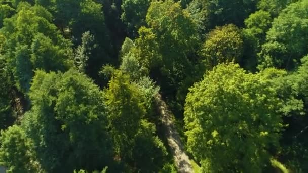 Bellissimo Central Park Majkowskiego Wejherowo Vista Aerea Polonia Filmati Alta — Video Stock