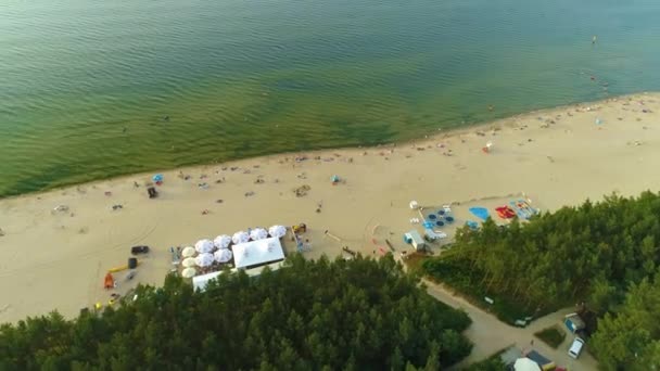 Gyönyörű Beach Forest Stegna Plaza Las Aerial View Lengyelország Kiváló — Stock videók