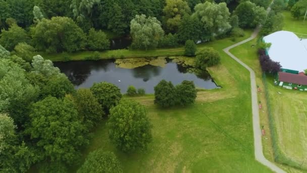 Pond Swan Slupsk Staw Vista Aérea Polonia Imágenes Alta Calidad — Vídeos de Stock