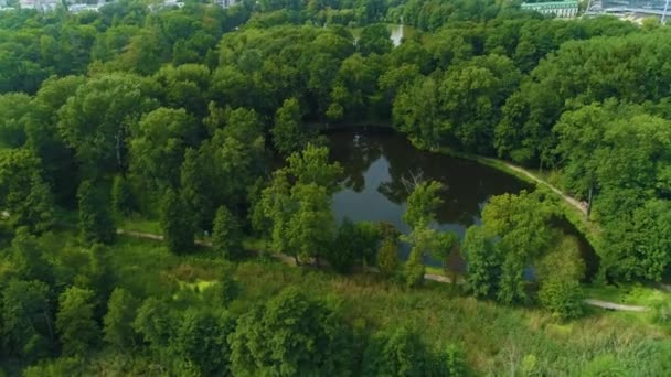Прушки Прушкова Stawy Potulickich Aerial View Poland Высококачественные Кадры — стоковое видео