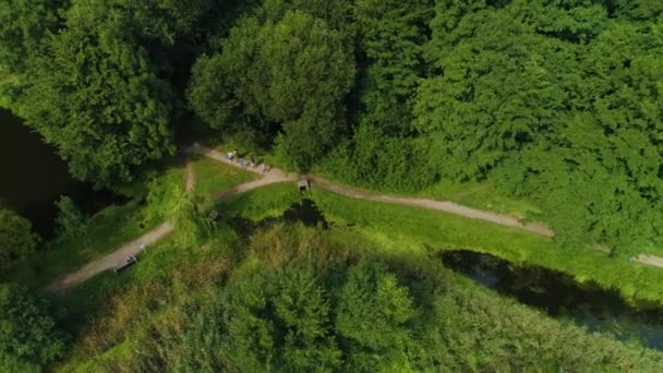 Stagni Foresta Pruszkow Stawy Potulickich Vista Aerea Polonia Filmati Alta — Video Stock