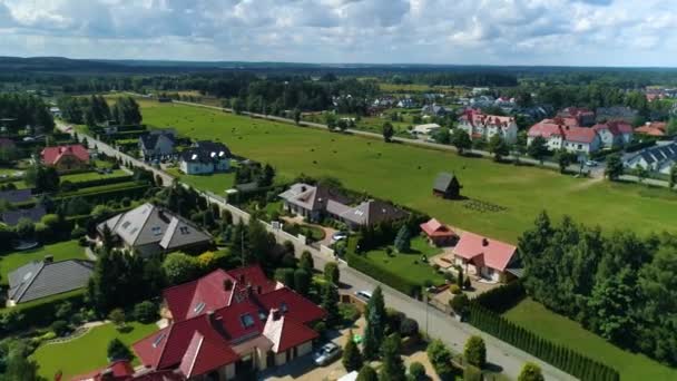 Όμορφο Τοπίο Debki Piekny Krajobraz Aerial View Πολωνία Υψηλής Ποιότητας — Αρχείο Βίντεο