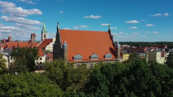 Müze Koleji Maksimum Torun Muzeum Hava Görüntüsü Polonya Yüksek Kalite — Stok video