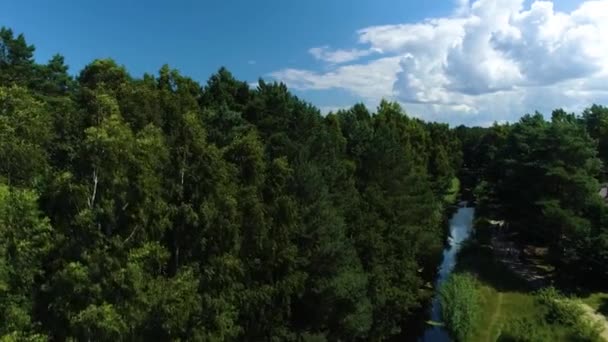 Güzel Peyzaj Ormanı Debki Piekny Krajobraz Hava Manzarası Polonya Yüksek — Stok video