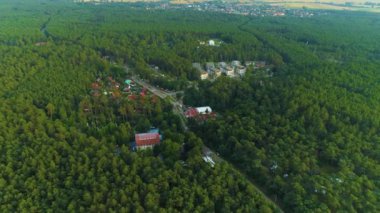 Güzel Peyzaj Ormanı Stegna Las Krajobraz Hava Manzarası Polonya. Yüksek kalite 4k görüntü