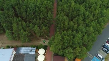 Tembel Droga Przez Las Aerial View Polonya Ormanı Yolu. Yüksek kalite 4k görüntü