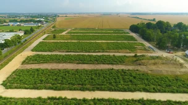 Indah Landscape Puck Piekny Krajobraz Pemandangan Udara Polandia Rekaman Berkualitas — Stok Video