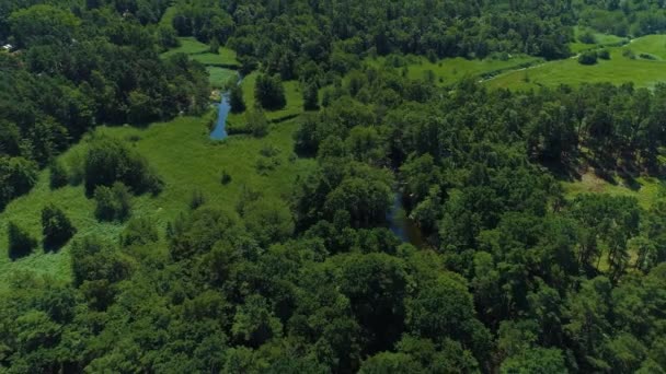 Forest Debki Las Ujscie Piasnicy Aerial View Poland 고품질 — 비디오