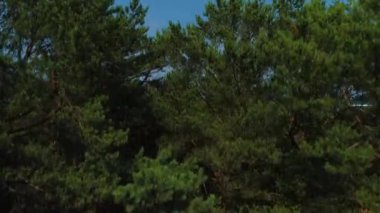 Plaj Baltık Denizi Jurata Plaza Morze Baltyckie Hava Görüntüsü Polonya. Yüksek kalite 4k görüntü