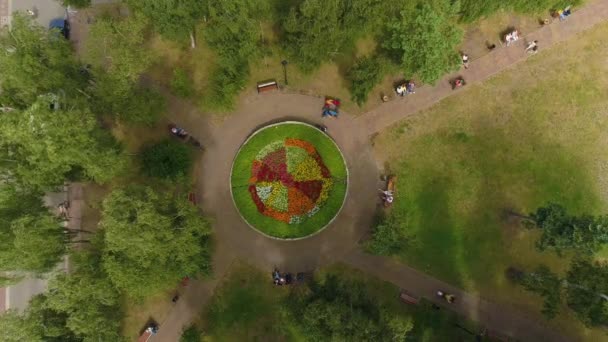 Park Centrum Rondo Miedzywodzie Aerial View Lengyelország Kiváló Minőségű Felvételek — Stock videók