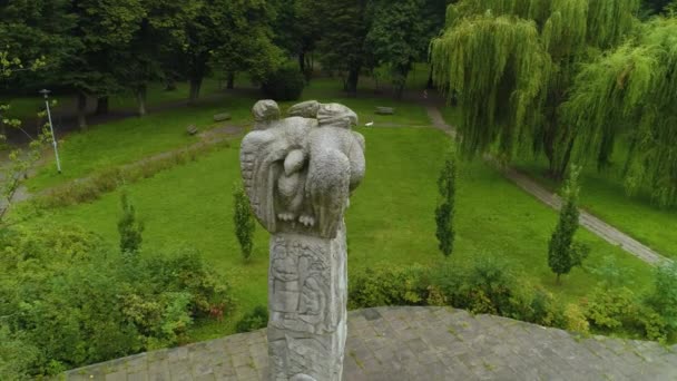 Park Tadeusza Kościuszki Pomnik Koszalina Pomnika Widok Lotu Ptaka Polska — Wideo stockowe