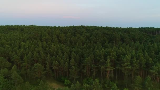 Prachtige Landschap Centrum Katy Rybackie Piekny Krajobraz Luchtfoto View Polen — Stockvideo