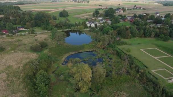 Landskap Pond Ruiner Krzyztopor Slott Ujazd Antenn View Poland Högkvalitativ — Stockvideo