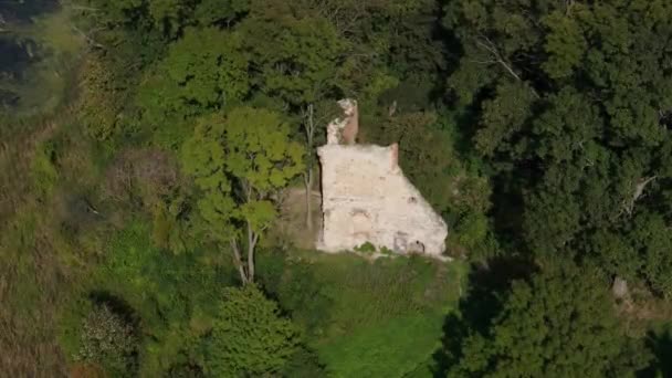 Castle Ruins Park Forest Krupe Air View Польща Високоякісні Кадри — стокове відео