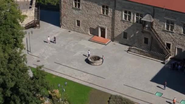 Güzel Kraliyet Şatosu Sanok Hava Manzarası Polonya Yüksek Kalite Görüntü — Stok video