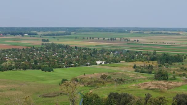 Vackra Landskap Tilldelning Trädgårdar Lubaczow Antenn View Poland Högkvalitativ Film — Stockvideo