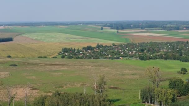 Prachtige Landschap Allotment Gardens Lubaczow Luchtfoto View Polen Hoge Kwaliteit — Stockvideo